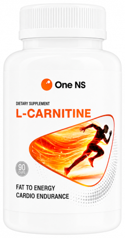 One NS L-carnitine, L-карнитин, 90 капсул
